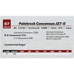 Paintrock Concensus J27-0