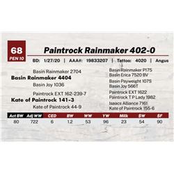 Paintrock Rainmaker 402-0