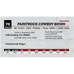 PAINTROCK COWBOY 6010H