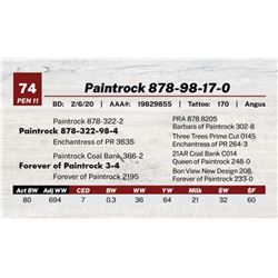 Paintrock 878-98-17-0