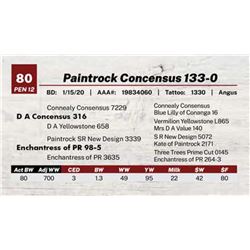 Paintrock Concensus 133-0