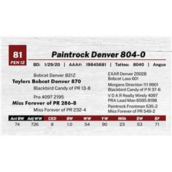 Paintrock Denver 804-0