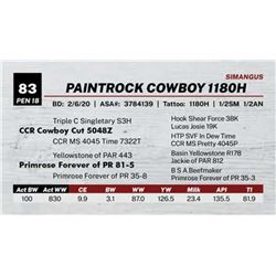 PAINTROCK COWBOY 1180H