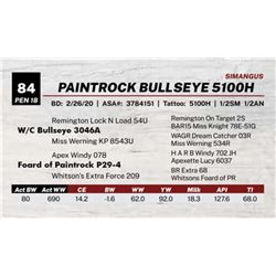 PAINTROCK BULLSEYE 5100H