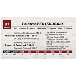 Paintrock FA 156-164-0