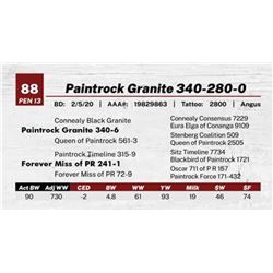 Paintrock Granite 340-280-0