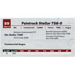 Paintrock Stellar 756-0