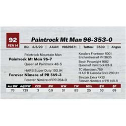 Paintrock Mt Man 96-353-0