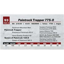 Paintrock Trapper 775-0