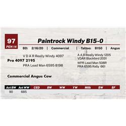 Paintrock Commercial B15-0