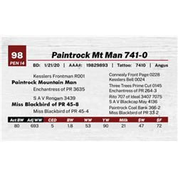 Paintrock Mt Man 741-0