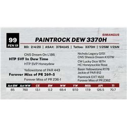 PAINTROCK DEW 3370H