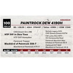 PAINTROCK DEW 4190H