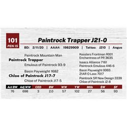 Paintrock Trapper J21-0