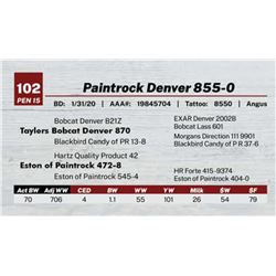 Paintrock Denver 855-0