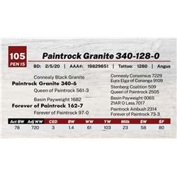 Paintrock Granite 340-128-0