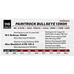 PAINTROCK BULLSEYE 1390H