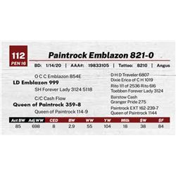 Paintrock Emblazon 821-0