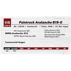 Paintrock Avalanche B19-0