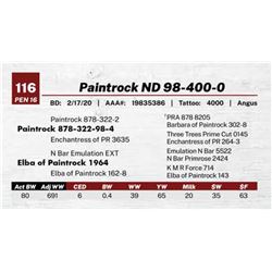 Paintrock ND 98-400-0