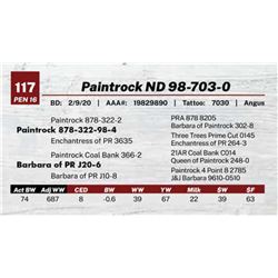 Paintrock ND 98-703-0
