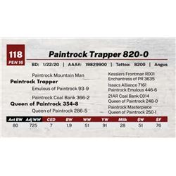 Paintrock Trapper 820-0