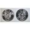 Image 2 : 2-BU 1987 AMERICAN SILVER EAGLES