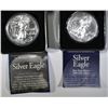 Image 1 : 2 2012 AMERICAN SILVER EALGES