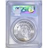 Image 4 : 1887 MORGAN DOLLAR PCGS MS-64