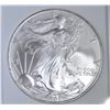 Image 2 : 2005 AMERICAN SILVER EAGLE, TDCS PERFECT GEM BU
