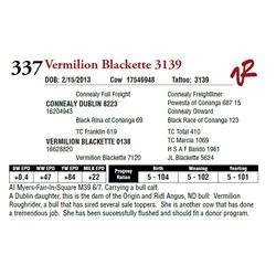 VERMILION BLACKETTE 3139