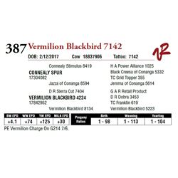 VERMILION BLACKBIRD 7142
