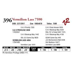 VERMILION LASS 7590