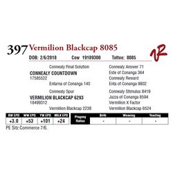 VERMILION BLACKCAP 8085
