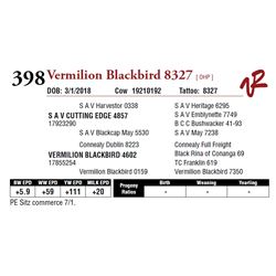 VERMILION BLACKBIRD 8327