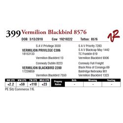 VERMILION BLACKBIRD 8576