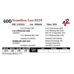 VERMILION LASS 8529