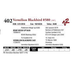 VERMILION BLACKBIRD 8580