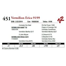 VERMILION ERICA 9199