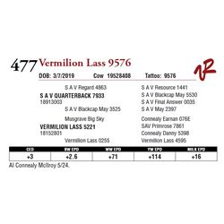 VERMILION LASS 9576