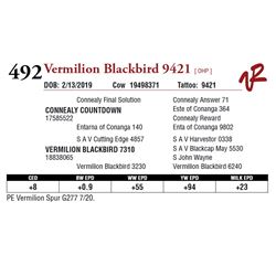 VERMILION BLACKBIRD 9421