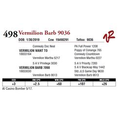 VERMILION BARB 9036