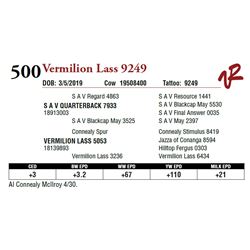 VERMILION LASS 9249