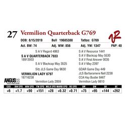 VERMILION QUARTERBACK G769