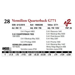 VERMILION QUARTERBACK G771