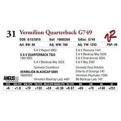 VERMILION QUARTERBACK G749