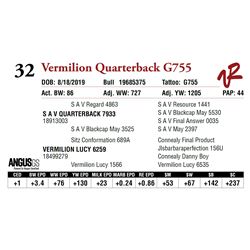 VERMILION QUARTERBACK G755