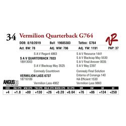 VERMILION QUARTERBACK G764