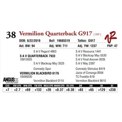 VERMILION QUARTERBACK G917