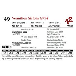 VERMILION SIRLOIN G794